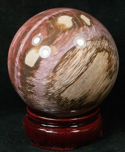 Colorful Petrified Wood Sphere #17877